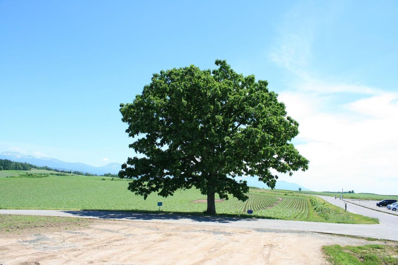 Stay In 末広 Asahikawa Nagayamacho Buitenkant foto